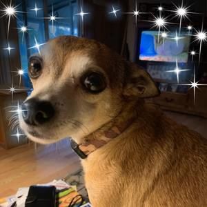 Meet your Posher, Sharon